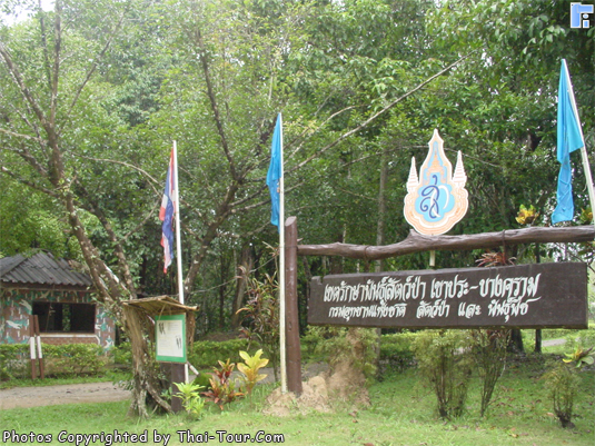 Thung Teao Forest, Krabi