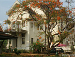 Chao Sam Phraya Museum