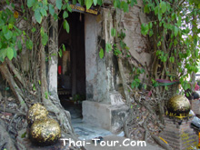 ค่ายบางกุ้ง โบสถ์ในต้นไม้ Unseen Thailand