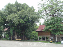 Wat Khae