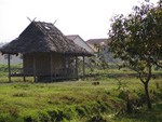 หมู่บ้านควายไทย