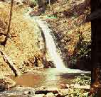 waterfall_jaeson.jpg (4660 bytes)