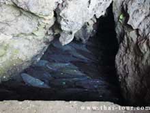 Fish Cave