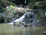 Raman Waterfall