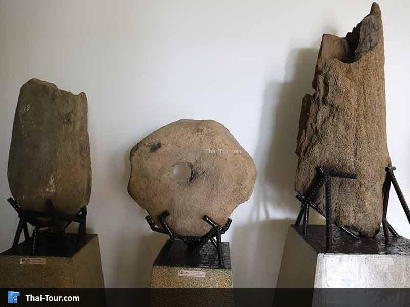 พิพิธภัณฑ์ไม้กลายเป็นหิน