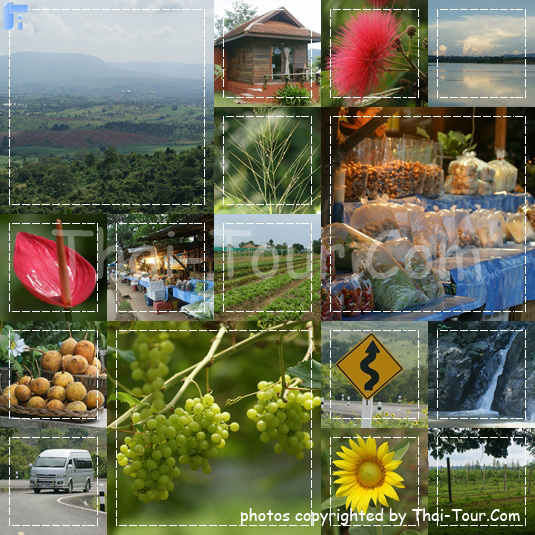 วังน้ำเขียว