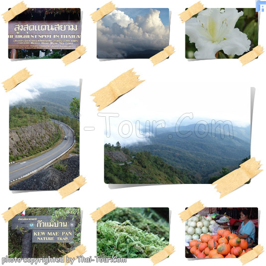 Doi Inthanon National Park