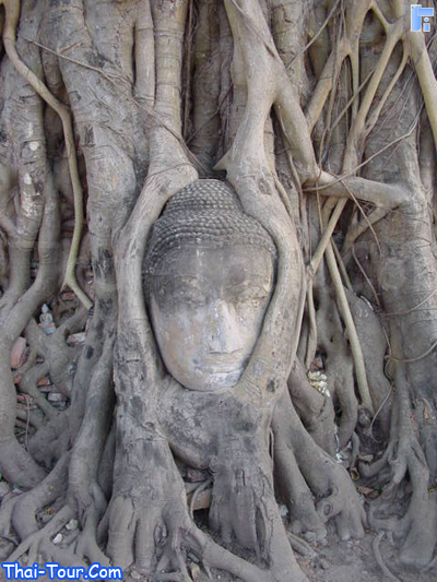 Wat Mahathat, Ayutthaya