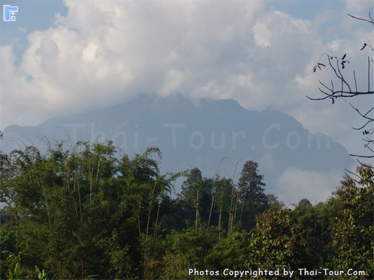 Doi Luang - Chiang Dao National Park,Chiangmai