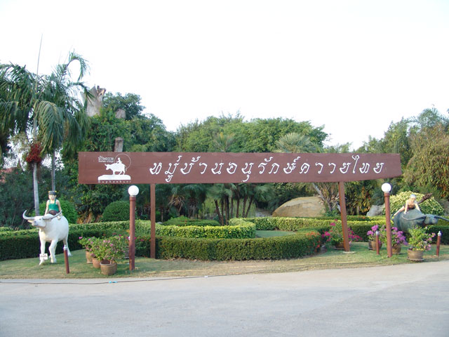 Buffalo Village, Suphanburi