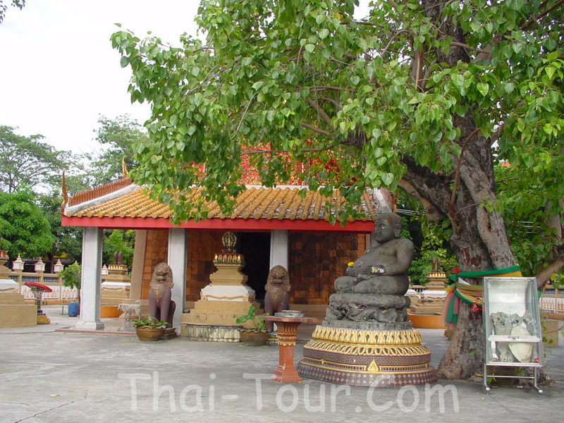 Wat Nangsao, Samutsakorn