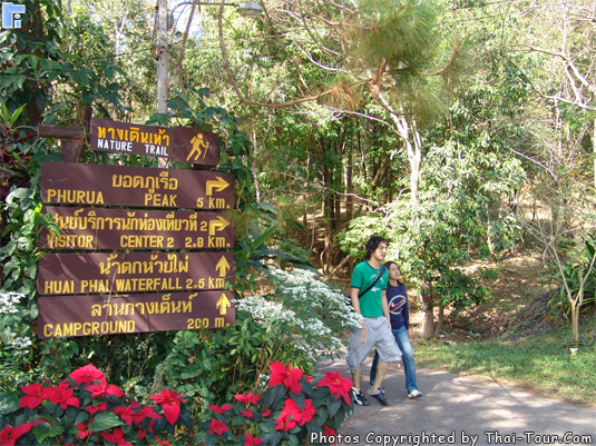 Phu Rua National Park, Loei