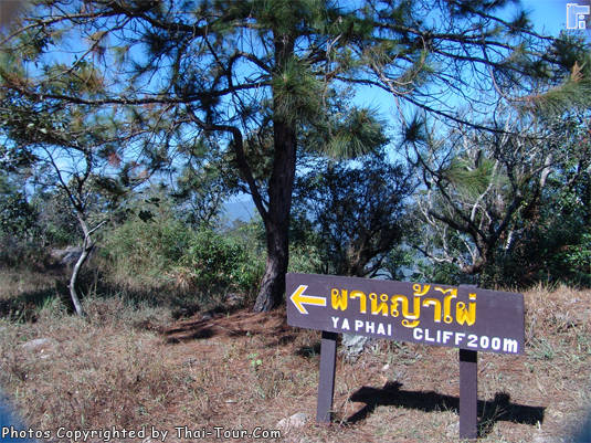 Phu Rua National Park, Loei