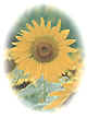 sunflower.jpg (1953 bytes)