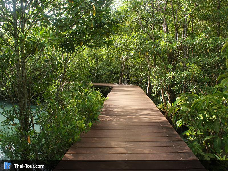 สะพานทางเดิน