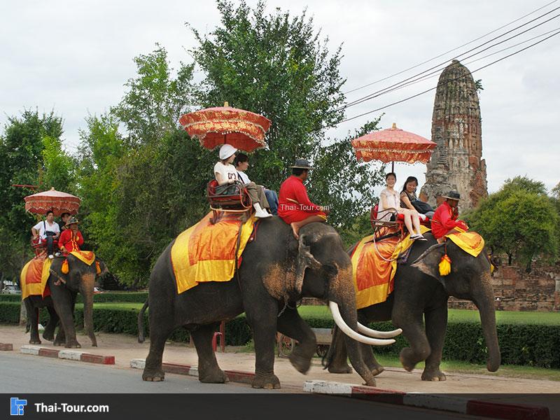 ขีช้างรอบอุทยานประวัติศาสตร์