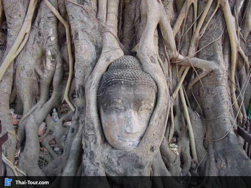 วัดมหาธาตุ