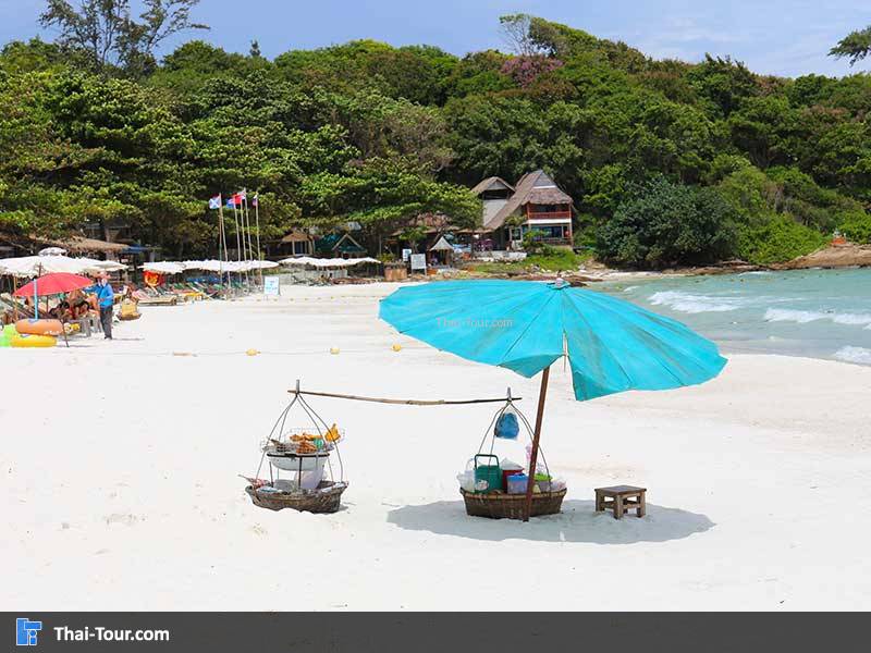 ต้นหาดทรายแก้ว