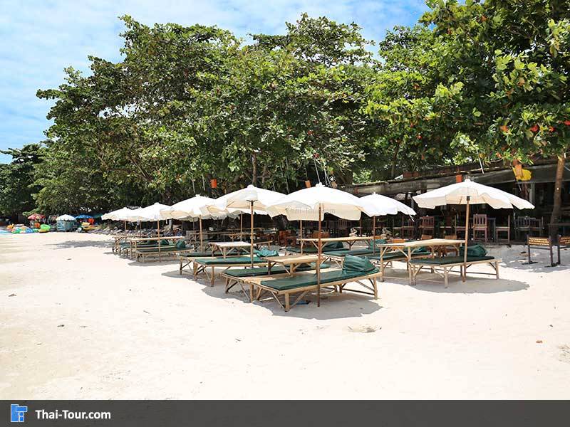 แนวเตียงอาบแดด ของรีสอร์ท