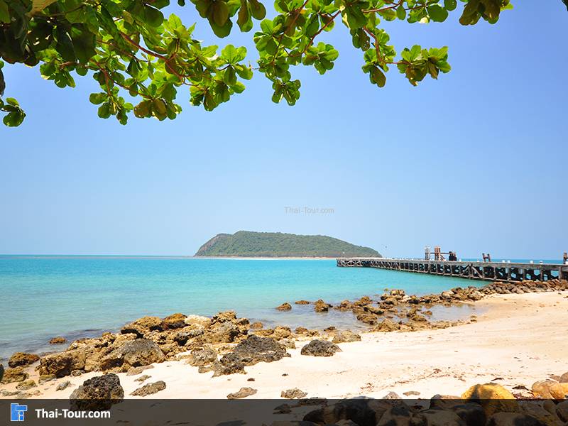 เกาะพะงัน