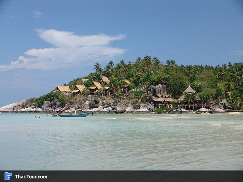 เกาะเต่า