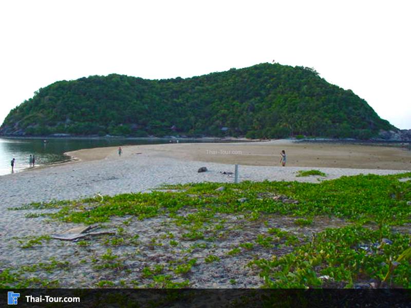 เกาะม้า เกาะพะงัน