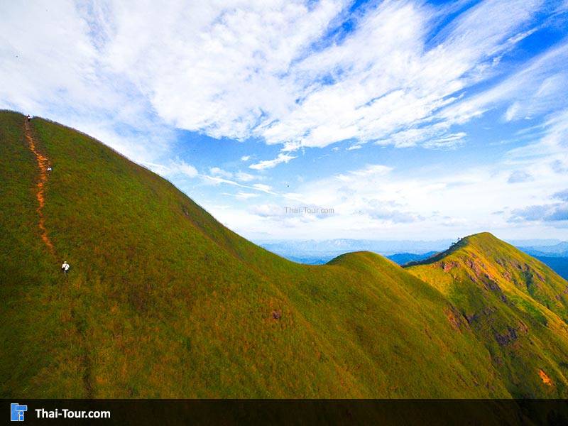 เขาช้างเผือก