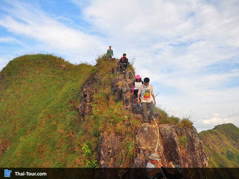 เขาช้างเผือก