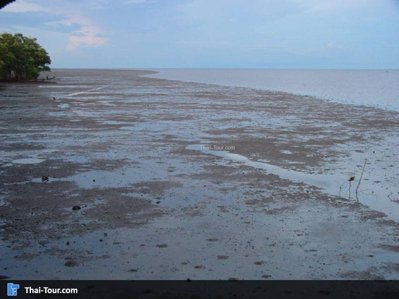 ดอนหอยหลอด