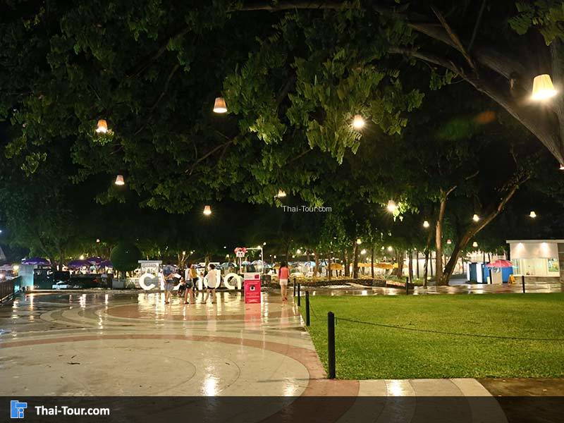 ตลาดจั๊กจั่น