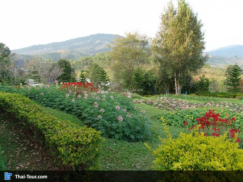 สถานีทดลองเกษตรที่สูงภูเรือ