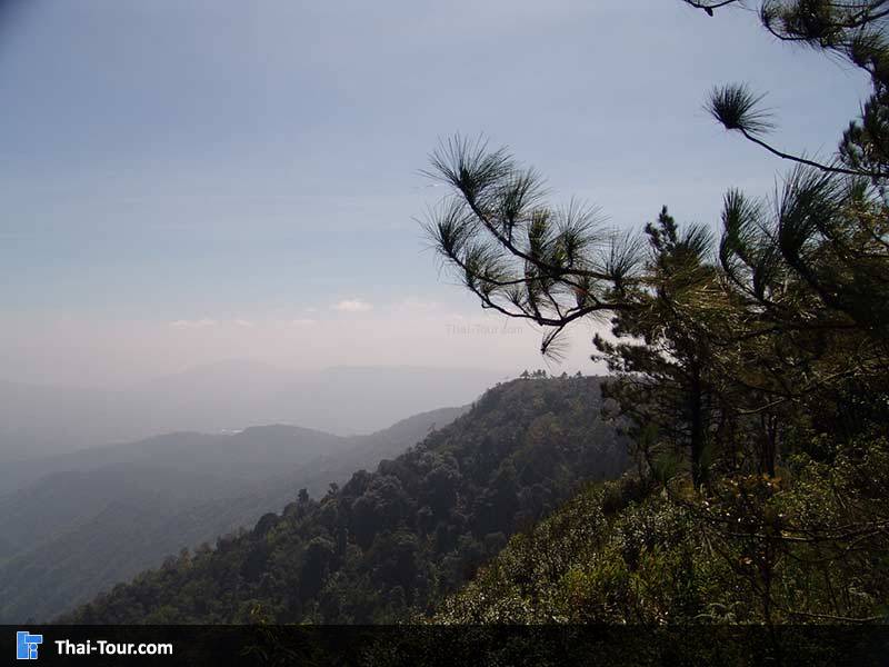 อุทยานแห่งชาติภูเรือ