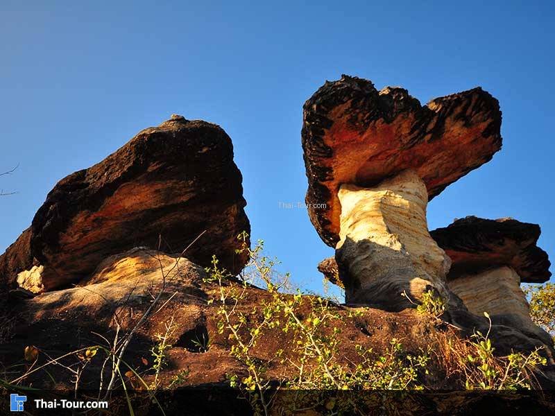 เสาเฉลียง