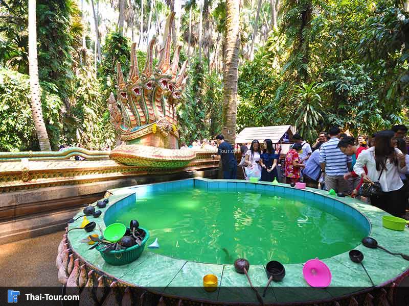 คำชะโนด