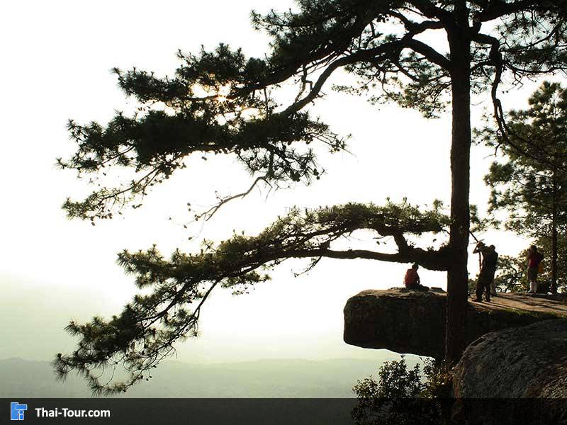 ผาหล่มสัก