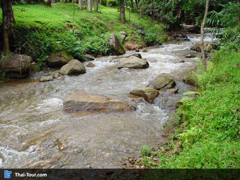 ลำธารใสสะอาดที่ไหลจากยอดเขา ผ่านหลายหมู่บ้านใจ จ.เชียงราย