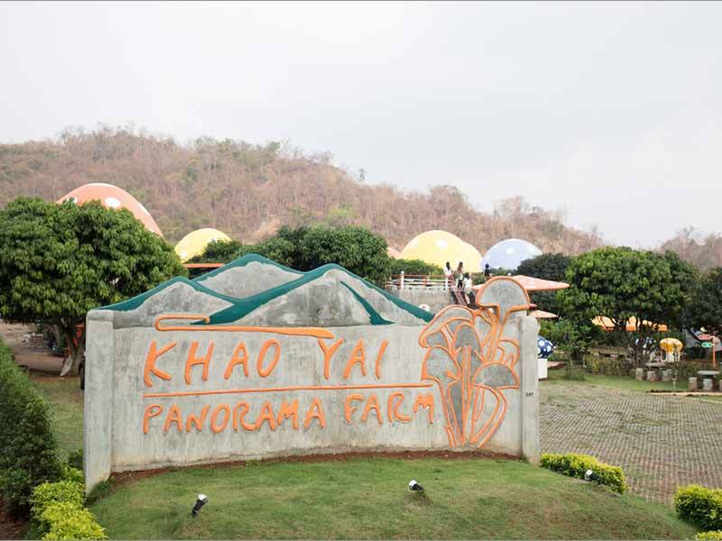 เขาใหญ่ พาโนราม่า ฟาร์ม