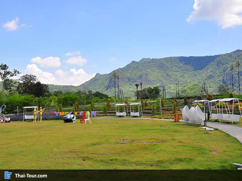 The Bloom By TV Pool