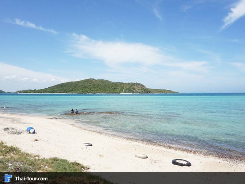 เกาะแสมสาร