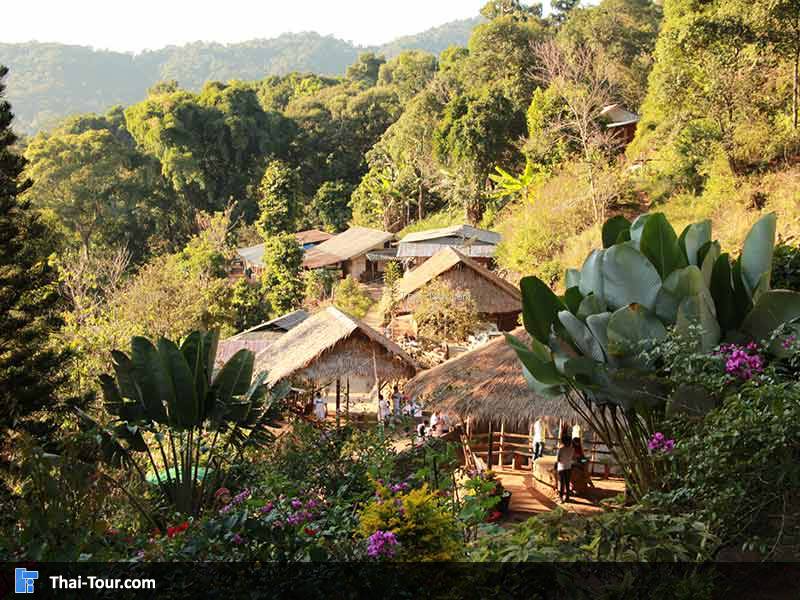 บ้านม้ง ดอยปุย