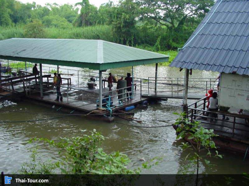 วังมัจฉา