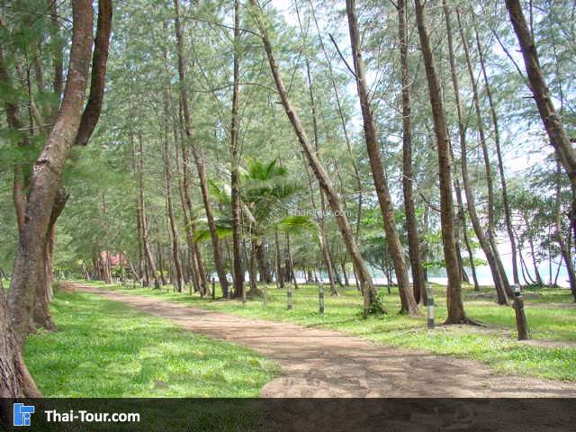 บรรยากาศ สวนสนริมชายหาด