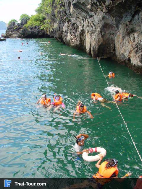 เกาะเชือก