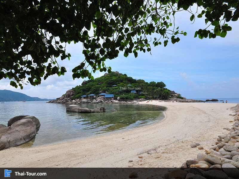 เกาะนางยวน