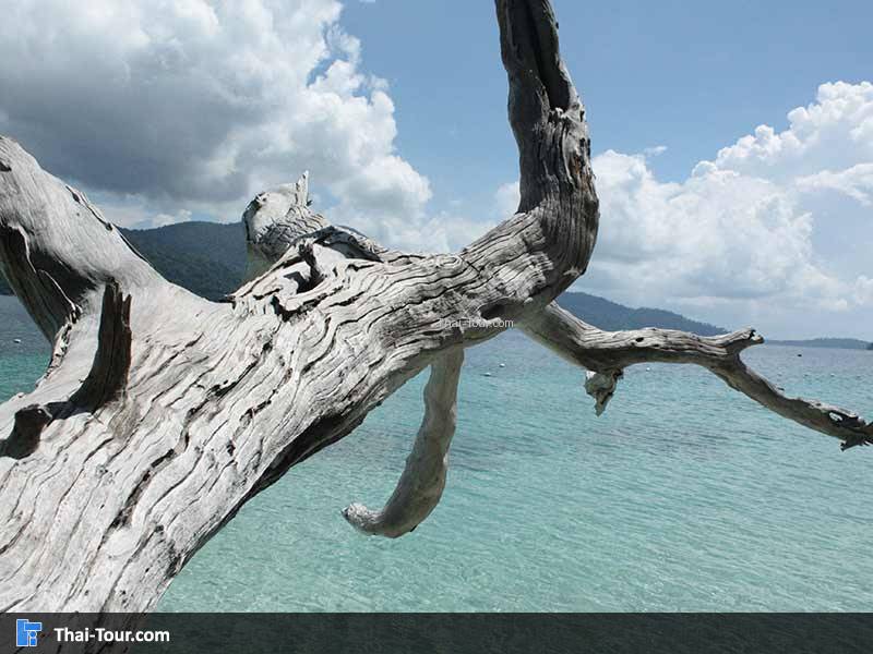 หมู่เกาะอาดัง ราวี