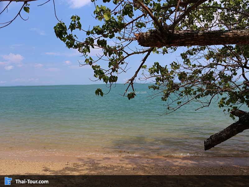 เกาะลิดี