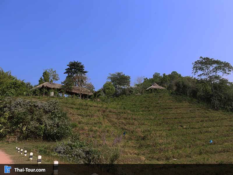 ศูนย์วัฒนธรรมภูฟ้า