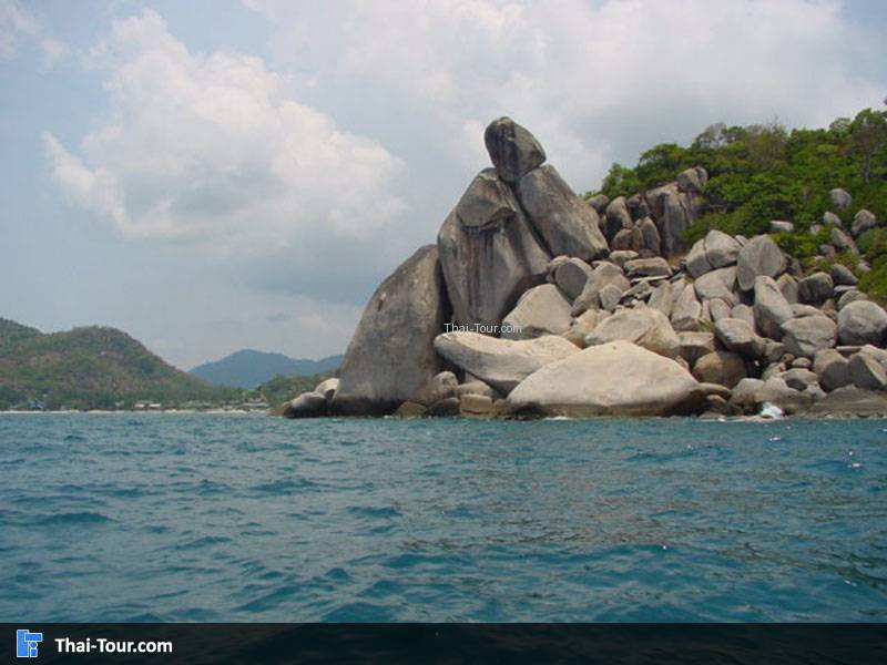 เกาะเต่า