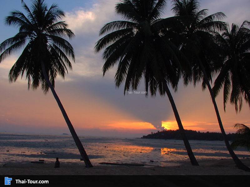 เกาะพะงัน