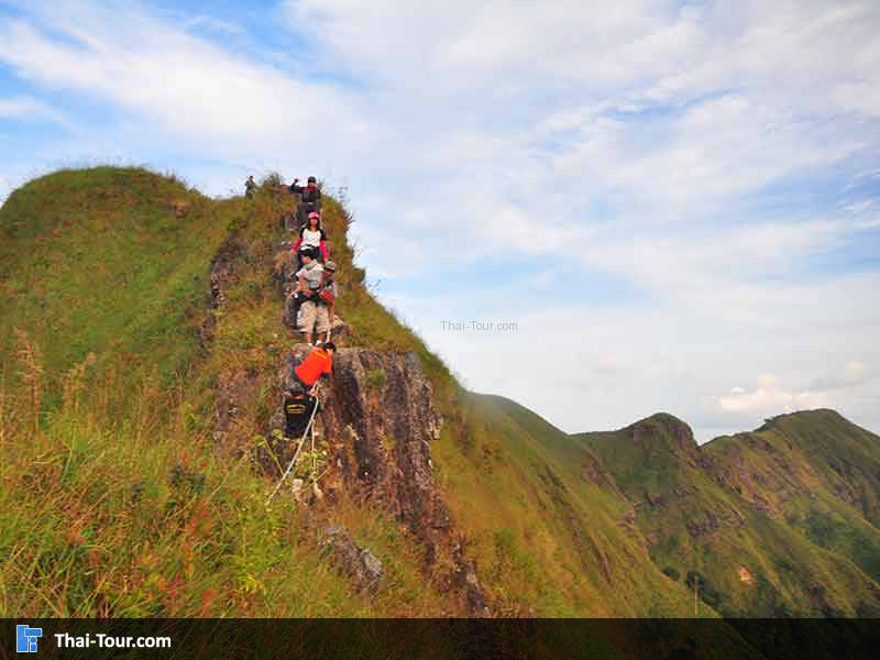 เขาช้างเผือก